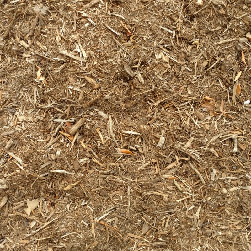 A,Clear,Wide,Angle,View,Looking,Down,At,Some,Shredded Mulch