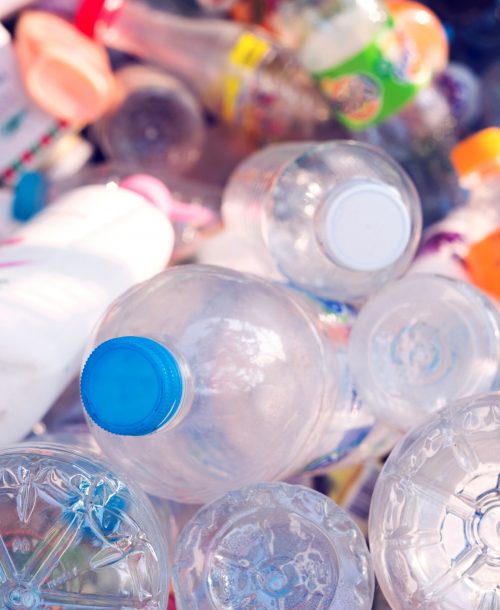 Plastic,Bottle,In,Recycle,Bin,waste,Management,Concept.